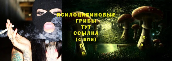 прущий лед Алексеевка