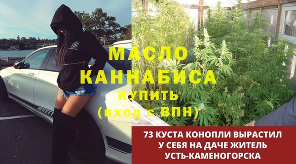 дмт Алексин