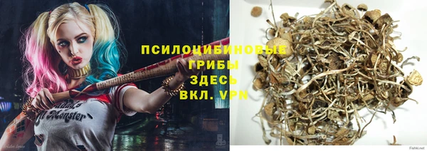 дмт Алексин