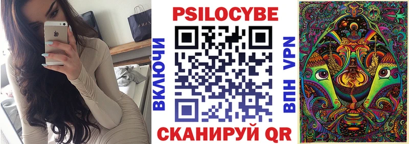 Псилоцибиновые грибы Cubensis Абдулино